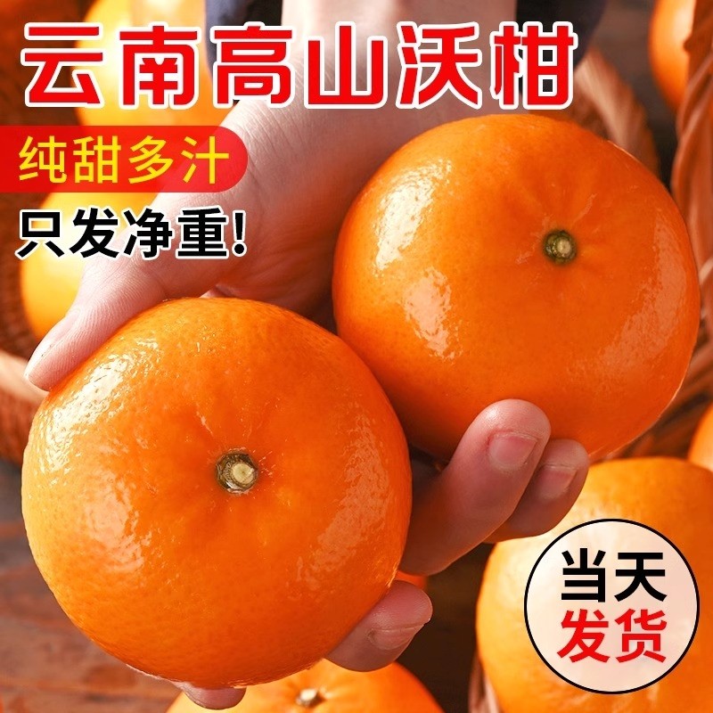 广西武鸣高山沃柑10斤新鲜水果应当季整箱现摘纯甜蜜桔柑橘橘子,水产肉类/新鲜蔬果/熟食,桔子,淘宝优惠券,粉丝福利购,淘宝优惠卷