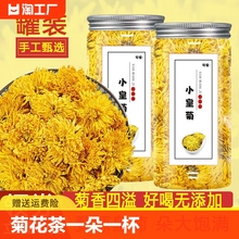 可尝散装菊花茶一朵一杯黄菊20朵花草茶乒乓菊金丝皇菊婺源皇菊