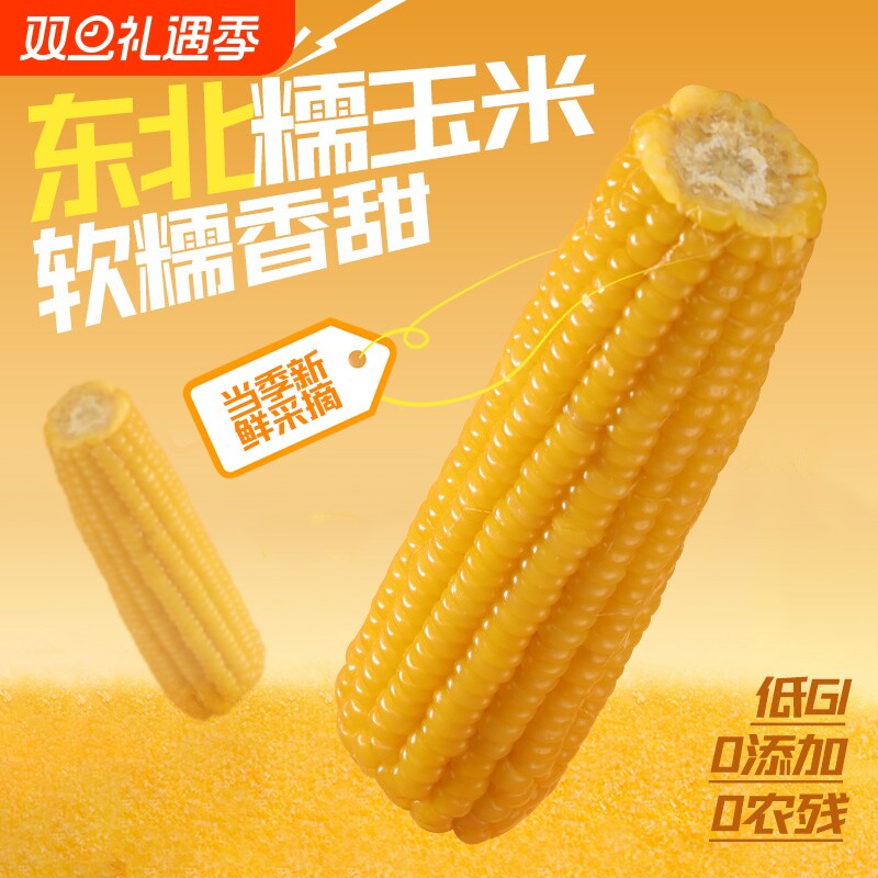 东北黄黏糯玉米棒2025新货真空包装黄苞米加热早餐代餐