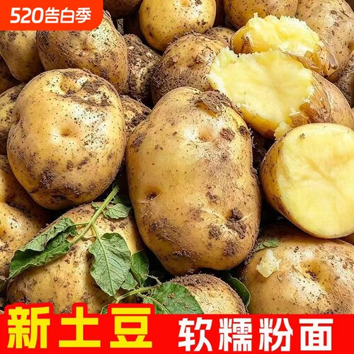 新鲜土豆黄皮黄心土豆贵州农家