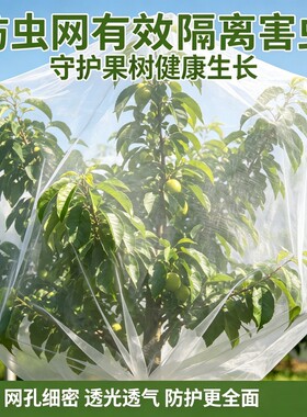 果园果树防虫透气透光网罩加厚网