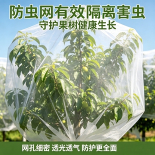 果树防虫防鸟网罩加厚水果套袋子防蚊虫针蜂防晒蔬菜纱网蚊帐菜地