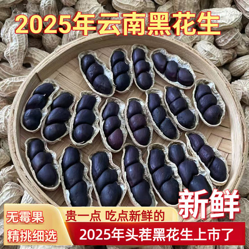 云南特产黑花生黑皮花生2025新货新鲜黑花生带壳紫黑花生米