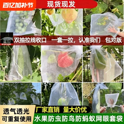 水果套袋防虫网袋防鸟桃子西红柿