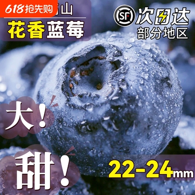 当季新鲜蓝莓L25云南高山种植