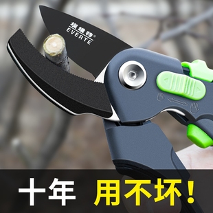 修剪树枝剪刀专用修枝剪果树修枝修嫁接园艺花艺剪枝花剪花卉园林