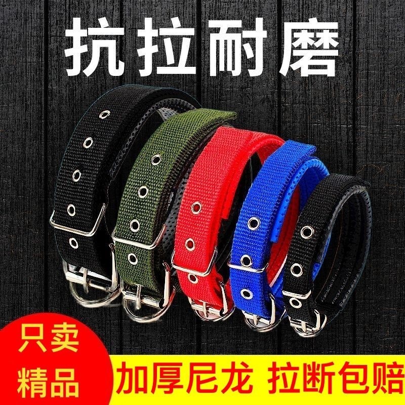 狗狗项圈宠物用品狗圈颈圈脖圈中型犬金毛脖套头套结实双排扣脖颈