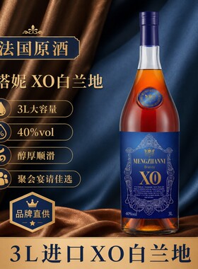 法国梦搭妮X0白兰地3L礼盒