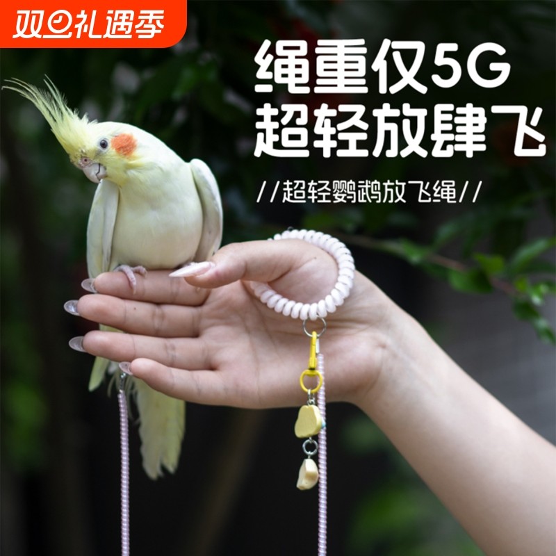 鹦鹉专用放飞绳超轻不伤脚虎皮牡丹玄凤外出牵引绳遛鸟小鸟用八哥