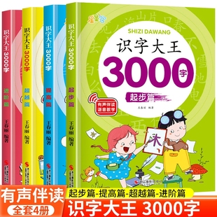 儿童识字3000字 启蒙早教书籍幼儿园宝宝小学生学前认字教材教具卡片幼儿幼小衔接速记看图识字书有声拼音描红语言逻辑开发学习