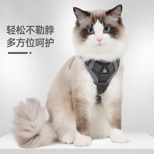 猫咪牵引绳背心式胸围带外出猫咪专用防挣脱遛猫绳银渐层链子用品