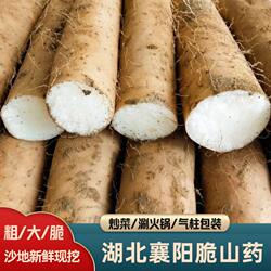 襄阳清炒脆山药新鲜粗大山药菜山药新鲜现挖涮火锅山药非铁棍山药