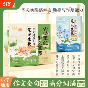 笔尖生花作文超燃1200例小学生1-6年级语文词语积累归类大全素材高分范文好词好句好段摘抄本技巧方法书衔接解决基础金句五角星