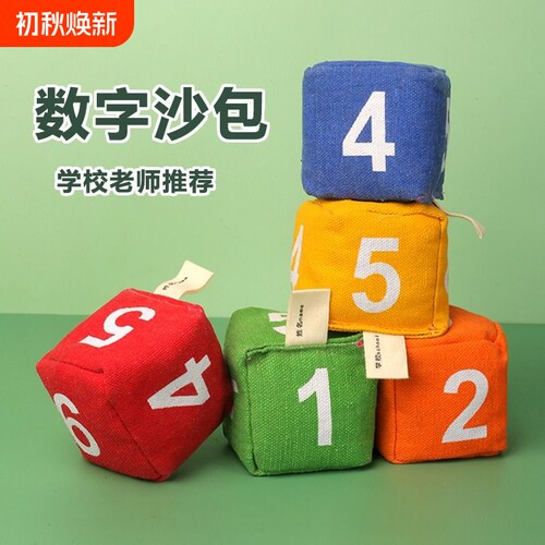 数字沙包小学生专用幼儿园儿童投扔丢手工投掷游戏道具小游戏课间