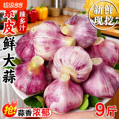 2026年新鲜现挖紫皮鲜大蒜