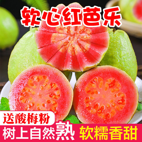 福建软糯红心芭乐即食新鲜水果番石榴熟透脆甜软糯胭脂红整箱包邮