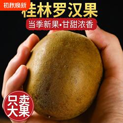 罗汉果干果中药材大果正品旗舰店广西特产干货鲜桂林罗汉果茶泡水