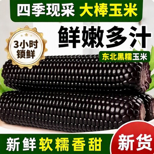东北黑糯玉米真空装|千人加购