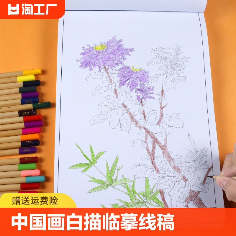 中国画白描笔画底稿白描画稿临摹