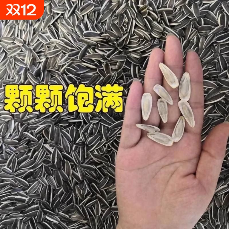 原味大颗粒炒货生瓜子葵花籽新货内蒙古特产批发零食熟葵花子新鲜