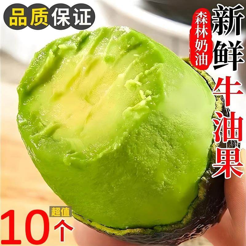 云南哈斯牛油果国产孟连奶油果鳄梨巨无霸当季即食新鲜水果整箱,水产肉类/新鲜蔬果/熟食,牛油果,淘宝优惠券,粉丝福利购,淘宝优惠卷