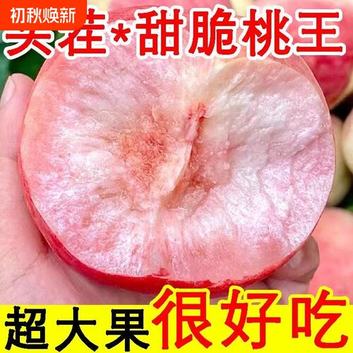 桃子新鲜脆桃大个桃子水蜜桃毛桃现摘应季水果大果一整箱批发价