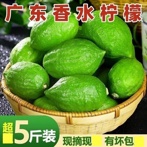 正宗广东香水柠檬一级果新鲜青柠檬水果奶茶店专用无籽香柠檬现摘