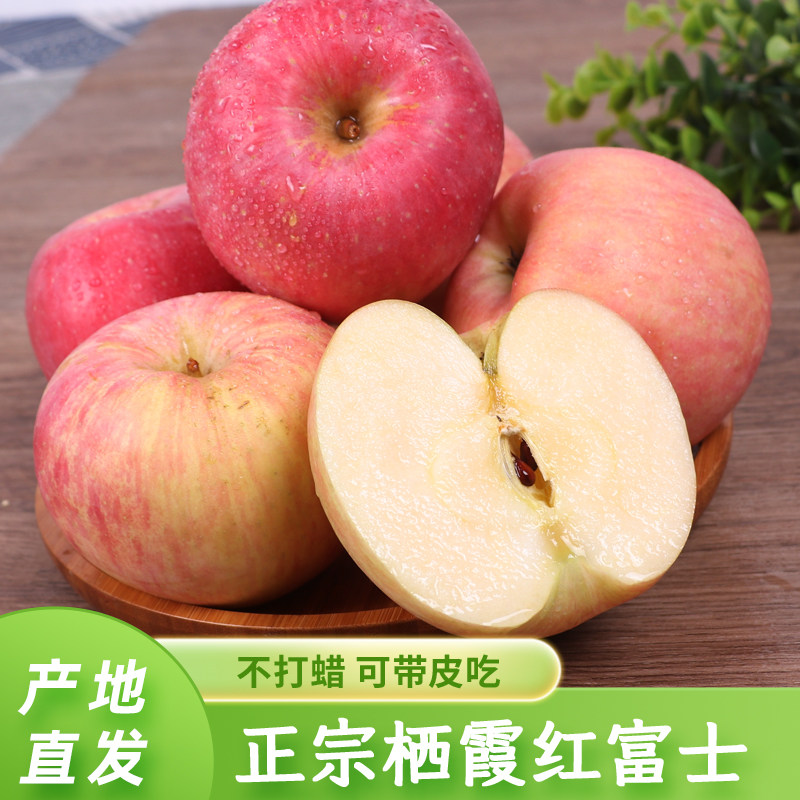 整箱栖霞红富士苹果香甜现摘孕妇水果包邮正宗新货产地直发,水产肉类/新鲜蔬果/熟食,苹果,淘宝优惠券,粉丝福利购,淘宝优惠卷