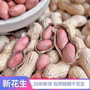25年生花生带壳花生晒干农家自产新货带壳薄干花生种子高产生花生