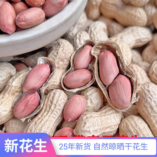 25年生花生带壳花生晒干农家自产新货带壳薄干花生种子高产生花生