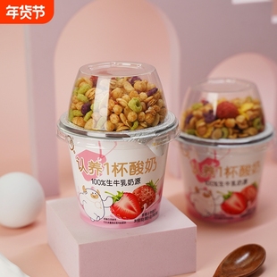 谷物搅拌酸奶180g牛奶果干麦片酸奶杯儿童学生水果拌冰淇淋草莓