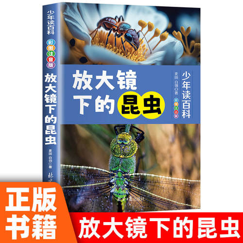 正版彩图注音版少年百科阅读 放大镜下的昆虫青少年儿童百科全书二三四五六年级课外书必读写给儿童的昆虫图书