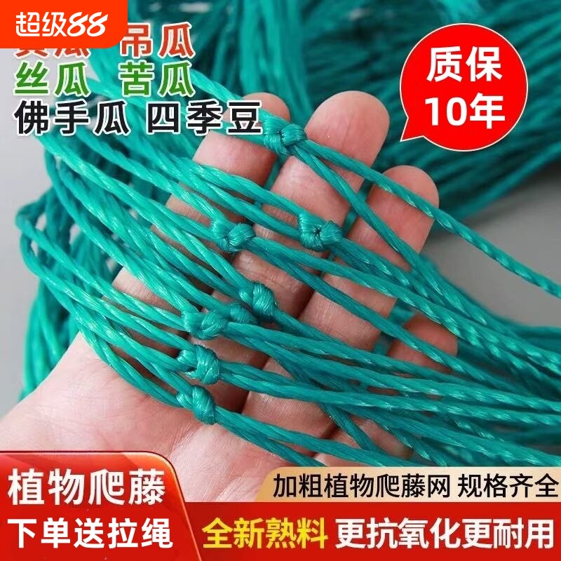 爬藤网植物攀爬网加粗耐用10年