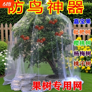 果树防鸟网用网葡萄蓝莓杨梅树防护网尼龙防鸟鸽子麻雀网樱桃树