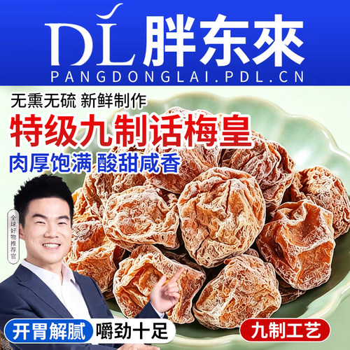 正宗九制话梅干泡水孕妇零食