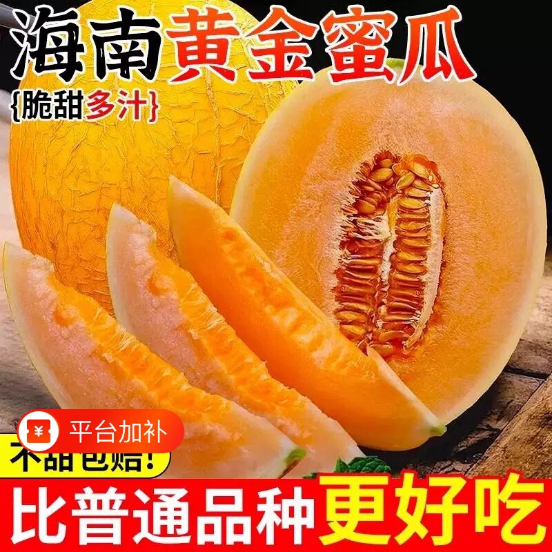 正宗海南黄金蜜瓜哈密瓜当季新鲜水果黄皮网纹黄河蜜瓜现摘包邮