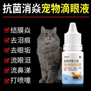 猫鼻支宠物感冒猫咪滴眼液结膜炎