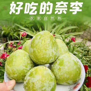 正宗奈李子新鲜水果青脆李桃形李孕妇脆甜油柰时令现摘李子整箱