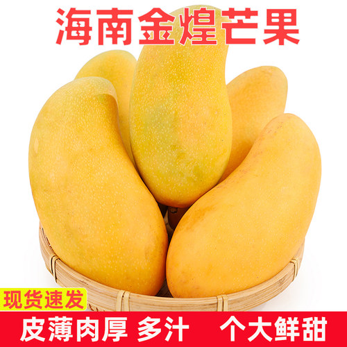 正宗海南金煌芒纸核芒果树上熟金辉金皇芒金黄芒新鲜水仙芒包邮