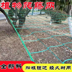 植物爬藤网花卉瓜果丝瓜苦瓜吊瓜葡萄瓜蒌豆角攀爬网百香果爬藤网