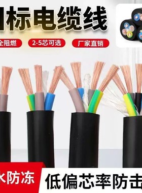 国标电缆线2芯3芯两相3相4芯2.5461016平方护套线户外防水线防冻
