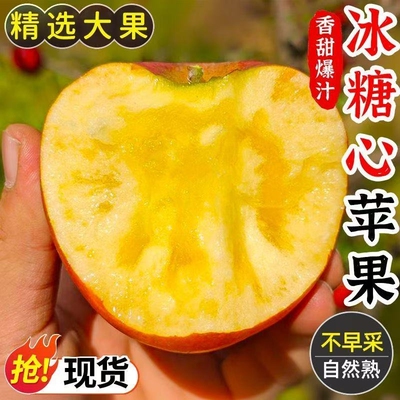 【超低价】现摘红富士冰糖心丑苹果当季新鲜孕妇水果脆甜整箱批发
