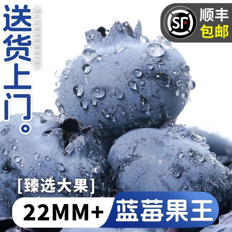 云南蓝莓新鲜22mm+特大果花香当季国产水果孕妇一整箱顺丰包邮