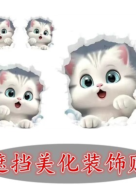 砖裂痕墙壁钉眼防水贴画