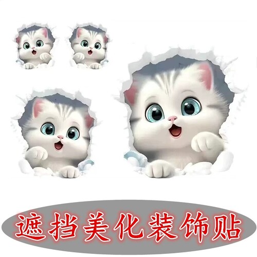 砖裂痕墙壁钉眼防水贴画