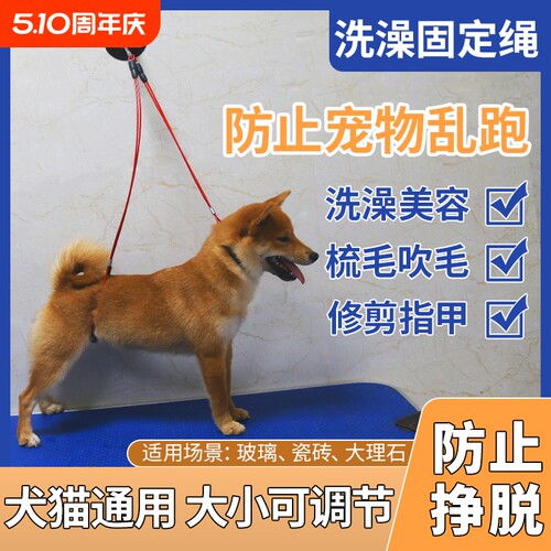狗狗洗澡固定绳狗猫咪固定神器小型犬中型犬大型犬牵引带卡扣美容