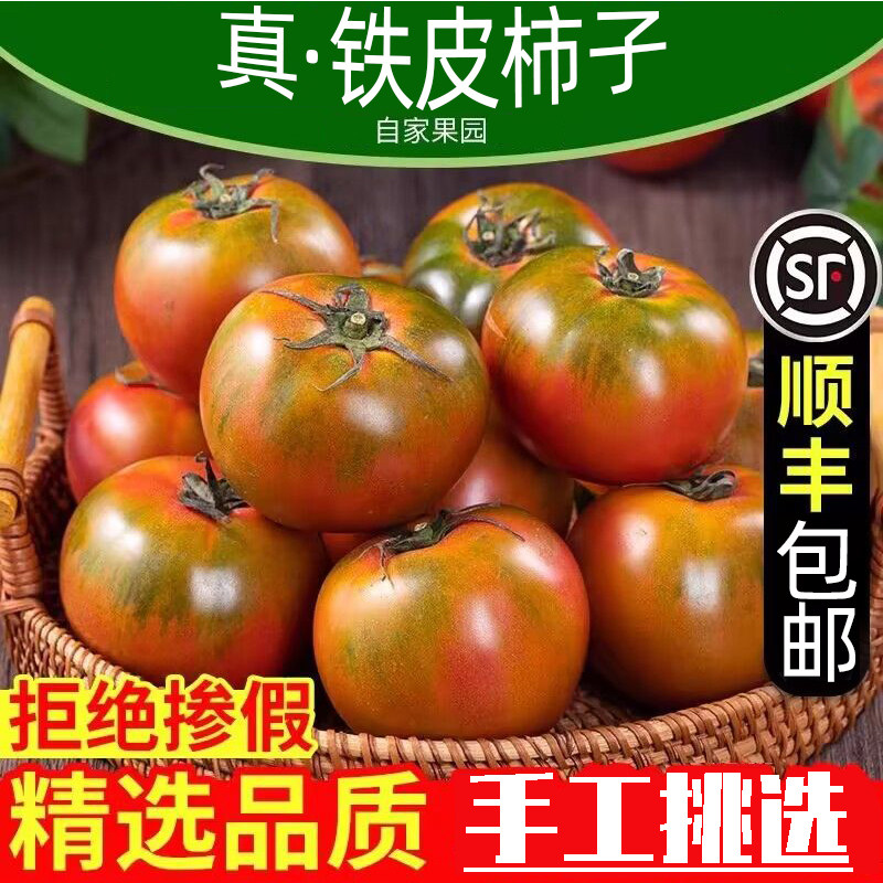 东北特产碱地草莓西红柿铁皮柿子草莓番茄自然成熟酸甜好吃发顺丰