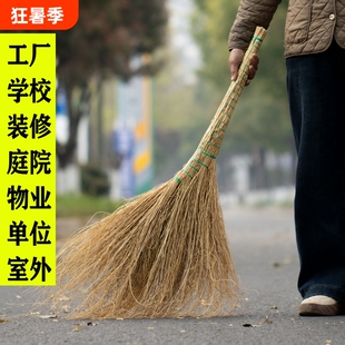 铁扫把草扫把地肤草金丝草大铁扫帚工地笤帚庭院马路室外