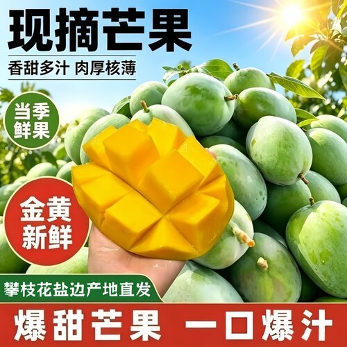 阳光好芒攀枝花产凯特芒果