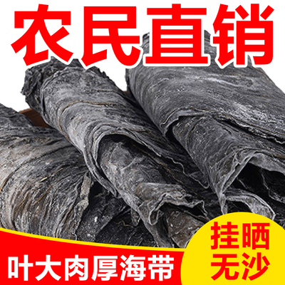 福建霞浦新海带干货昆布煲汤新鲜海带片结批发商用当季美味优质